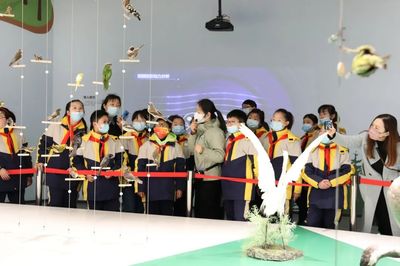 文博創新，IP出圈 看江蘇鹽城如何讓城市文化“活”起來